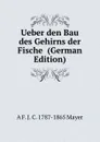 Ueber den Bau des Gehirns der Fische  (German Edition) - A F. J. C. 1787-1865 Mayer