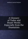 A Glossary of Tudor and Stuart Words: Especially from the Dramatists - Anthony Lawson Mayhew