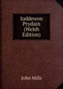 Iuddewon Prydain (Welsh Edition) - John Mills