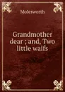 Grandmother dear ; and, Two little waifs - Molesworth