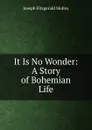 It Is No Wonder: A Story of Bohemian Life - J. Fitzgerald Molloy