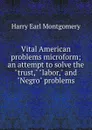 Vital American problems microform; an attempt to solve the 