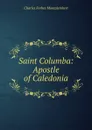 Saint Columba: Apostle of Caledonia - Montalembert Charles Forbes