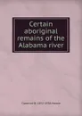 Certain aboriginal remains of the Alabama river - Clarence B. 1852-1936 Moore