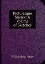 Picturesque Sussex: A Volume of Sketches - William John Hardy