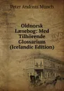 Oldnorsk Laesebog: Med Tilhorende Glossarium (Icelandic Edition) - Peter Andreas Munch