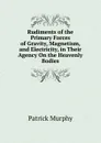 Rudiments of the Primary Forces of Gravity, Magnetism, and Electricity, in Their Agency On the Heavenly Bodies - Patrick Murphy