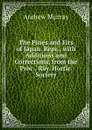 The Pines and Firs of Japan. Repr., with Additions and Corrections, from the Proc., Roy. Hortic. Society - Andrew Murray