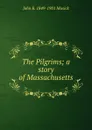 The Pilgrims; a story of Massachusetts - John R. 1849-1901 Musick