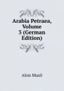 Arabia Petraea, Volume 3 (German Edition) - Alois Musil