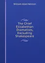 The Chief Elizabethan Dramatists, Excluding Shakespeare - William Allan Neilson