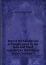 Report On Conditions of Employment in the Iron and Steel Industry in the United States, Volume 1 - Charles Patrick Neill