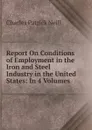 Report On Conditions of Employment in the Iron and Steel Industry in the United States: In 4 Volumes . - Charles Patrick Neill