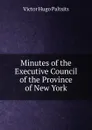 Minutes of the Executive Council of the Province of New York - Victor Hugo Paltsits