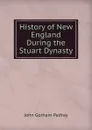 History of New England During the Stuart Dynasty - John Gorham Palfrey