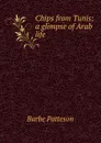 Chips from Tunis: a glimpse of Arab life - Barbe Patteson