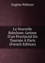 La Nouvelle Babylone: Lettres D.un Provincial En Tournee A Paris (French Edition) - Eugène Pelletan