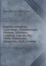 English cathedrals: Canterbury, Peterborough, Durham, Salisbury, Lichfield, Lincoln, Ely, Wells, Winchester, Gloucester, York, London - Schuyler van Rensselaer