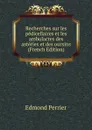 Recherches sur les pedicellaires et les ambulacres des asteries et des oursins (French Edition) - Edmond Perrier