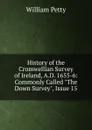 History of the Cromwellian Survey of Ireland, A.D. 1655-6: Commonly Called 