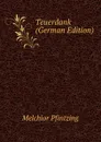 Teuerdank (German Edition) - Melchior Pfintzing