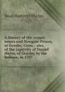 A history of the copper mines and Newgate Prison, at Granby, Conn.: also, of the captivity of Daniel Hayes, of Granby, by the Indians, in 1707 - Noah Amherst Phelps