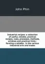 Industrial recipes: a collection of useful, reliable, practical recipes, rules, processes, methods, wrinkles and practical hints : forming a reliable . in the various industrial arts and trades - John Phin