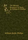 The Mineral Resources of Texas: By William B. Phillips - William Battle Phillips