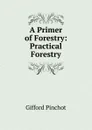 A Primer of Forestry: Practical Forestry - Gifford Pinchot