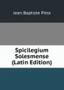 Spicilegium Solesmense (Latin Edition) - Jean Baptiste Pitra