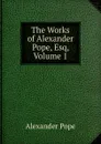 The Works of Alexander Pope, Esq, Volume 1 - Pope Alexander