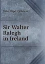 Sir Walter Ralegh in Ireland - John Pope-Hennessy