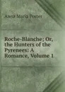 Roche-Blanche; Or, the Hunters of the Pyrenees: A Romance, Volume 1 - Anna Maria Porter