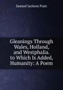 Gleanings Through Wales, Holland, and Westphalia. to Which Is Added, Humanity: A Poem - Samuel Jackson Pratt