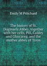 The history of St. Dogmaels Abbey, together with her cells, Pill, Caldey and Glascareg, and the mother abbey of Tiron - Emily M Pritchard