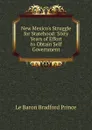 New Mexico.s Struggle for Statehood: Sixty Years of Effort to Obtain Self Government - Le Baron Bradford Prince