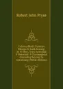 Cyfarwyddyd I Gymmro Ddysgu Yr Iaith Seisnig: At Yr Hwn, Trwy Annogiad Y Beirniaid. Y Chwanegwyd Gramadeg Seisnig Yn Gymmraeg (Welsh Edition) - Robert John Pryse