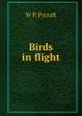 Birds in flight - W P. Pycraft