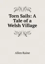 Torn Sails: A Tale of a Welsh Village - Allen Raine