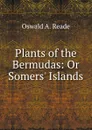 Plants of the Bermudas: Or Somers. Islands - Oswald A. Reade