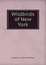 Wildbirds of New York - Chester A. 1876-1912 Reed