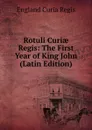 Rotuli Curiae Regis: The First Year of King John (Latin Edition) - England Curia Regis