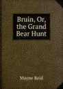 Bruin, Or, the Grand Bear Hunt - Reid Mayne