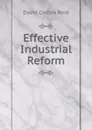 Effective Industrial Reform - David Collins Reid