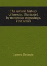 The natural history of insects: Illustrated by numerous engravings. First series - James Rennie