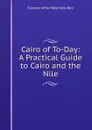 Cairo of To-Day: A Practical Guide to Cairo and the Nile - Eustace Alfred Reynolds-Ball