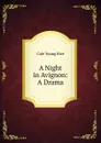 A Night in Avignon: A Drama - Cale Young Rice