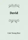 David - Cale Young Rice