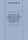 The Miniature Fruit Garden, Or, the Culture of Pyramidal and Bush Fruit Trees: With Instructions for Root-Pruning .c. .c - Thomas Rivers
