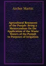 Agricultural Resources of the Punjab: Being a Memorandum On the Application of the Waste Waters of the Punjab to Purposes of Irrigation - Archer Martin